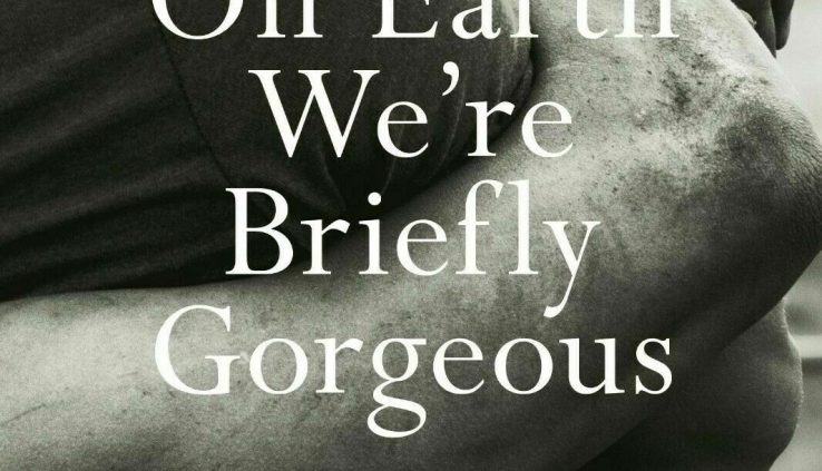 On Earth We’re Briefly Honorable: A Original [Hardcover] [2019] Vuong, Ocean