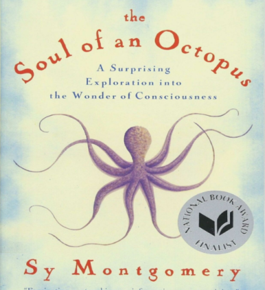 The Soul of an Octopus: A Beautiful Exploration into the Shock [ P.D.F ]