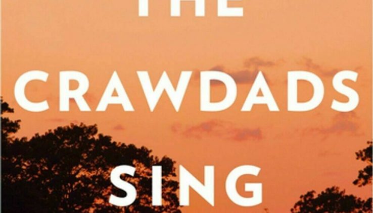The build apart the Crawdads Sing By Delia Owens [ Paperback ]