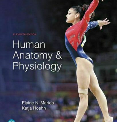 Human Anatomy & Physiology 11th Edition | Elaine N. Marieb Katja Hoehn