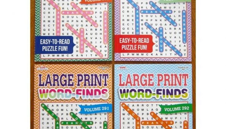 4 x Tremendous Print Word Gain Search Puzzle Guide Bundle Straightforward-To-Read