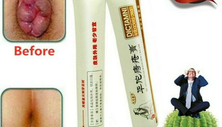 1/2/3/5PCS DICTAMNI -Antibacterial Cream Chinese language Herbal Hemorrhoids Reduction Cream