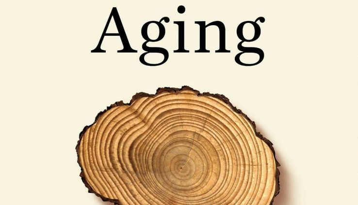 A success Aging by Daniel J Levitin (2020, Digital)