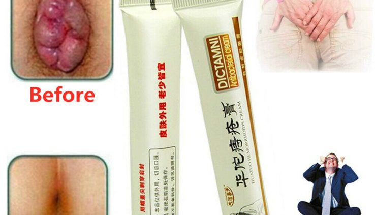 DICTAMNI Antibacterial Cream-Chinese Natural Hemorrhoids Relief Piles Ointment