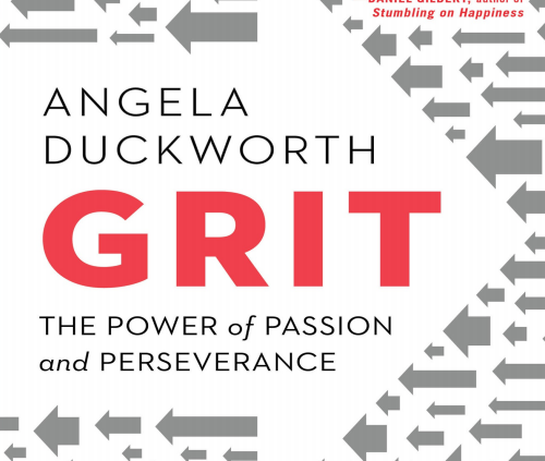 ✅ Grit: The Vitality of Ardour and Perseverance ✅ FAST DELIVERY
