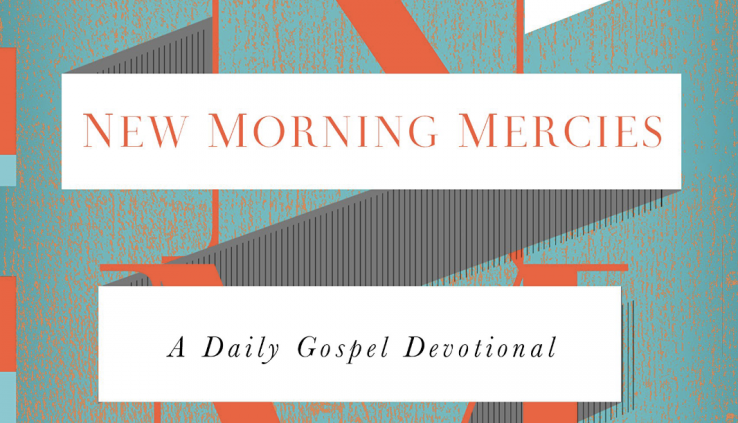 New Morning Mercies:A Each day Gospel Devotional by Paul David Tripp e.ßo0K by MSG