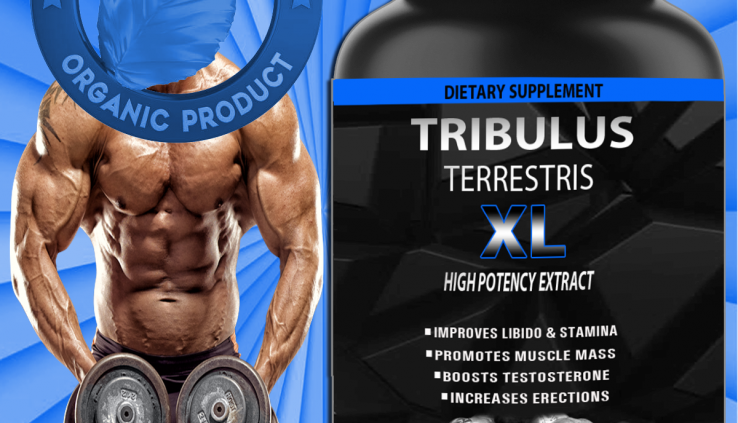 TRIBULUS TERRESTRIS 7500mg EXTRACT 96% SAPONINS BODY BUILD TESTOSTERON BOOSTER