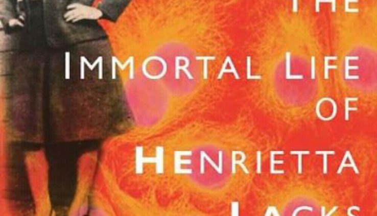 The Immortal Life of Henrietta Lacks by Rebecca Skloot 🔥 [ E- B00k / P.D.F ]