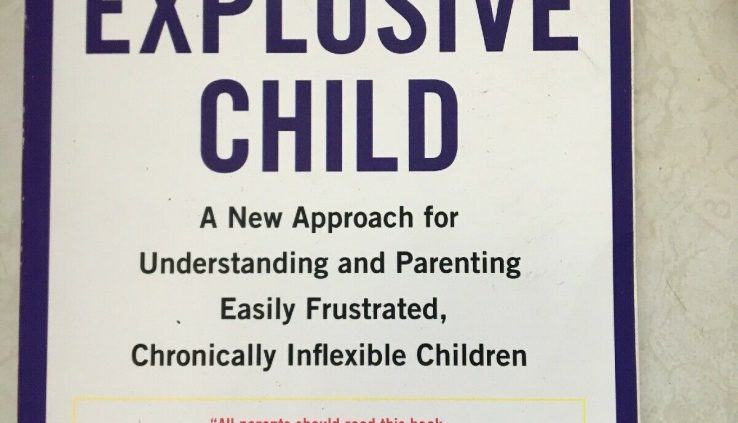 Explosive Minute one, The: A Recent Procedure For Determining And Parenting With out complications Frus