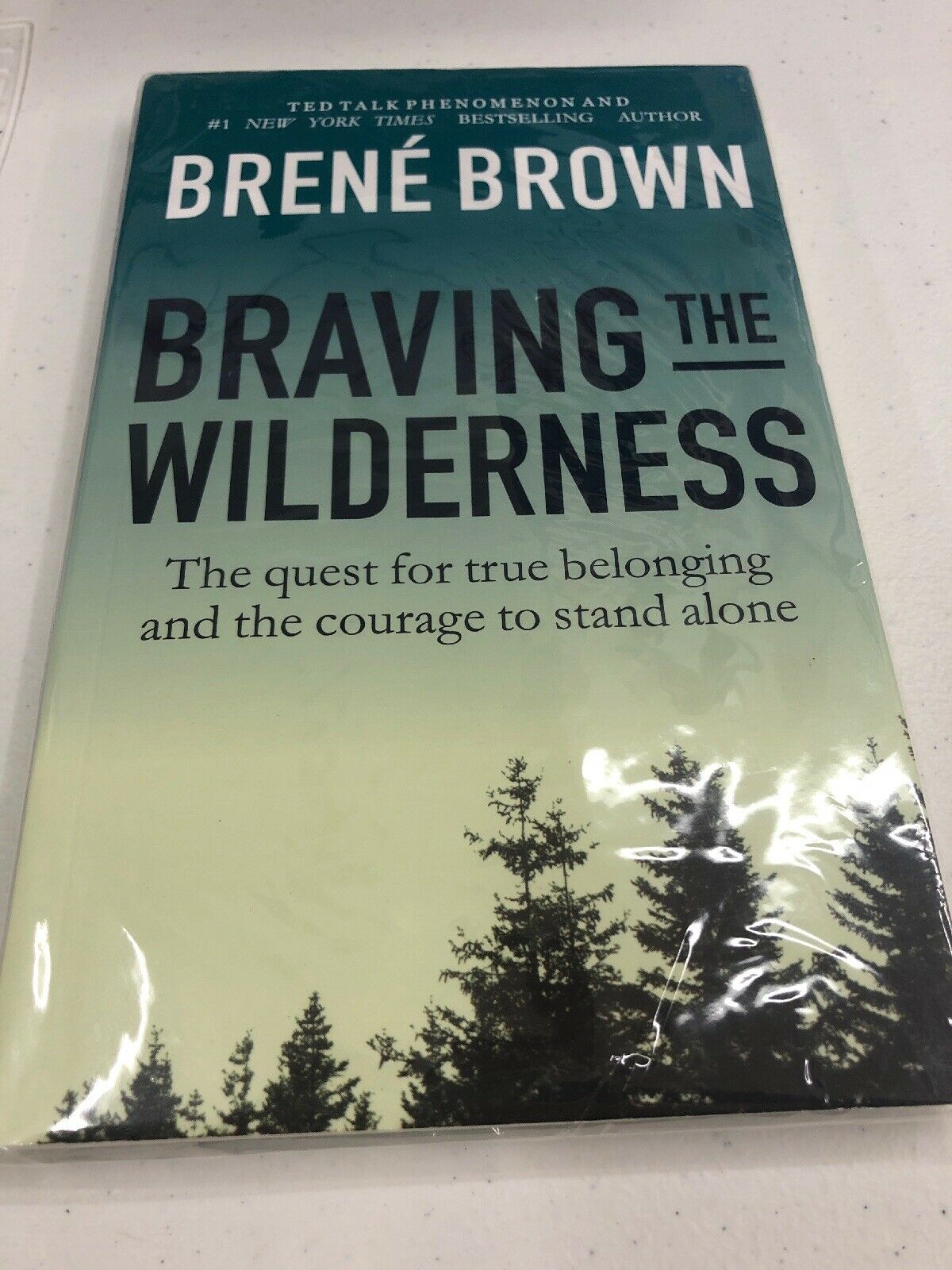 braving the wilderness brene