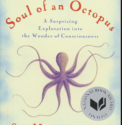 ✔ The Soul of an Octopus by Sy Bernard Law Bernard Law Montgomery ✅ FAST DELIVERY ✅