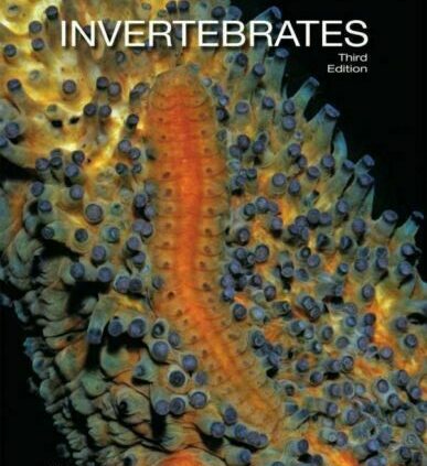 [P.D.F] Invertebrates by Richard C. Brusca Third Edition