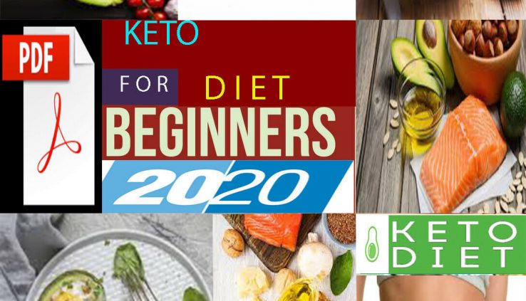 Keto Diet Cookbook for Newbies The Total Ketogenic Diet E book Recipe E book