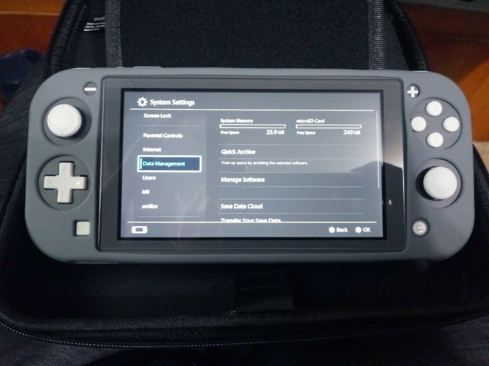 Nintendo Change Lite - comes w/comfortable case, exhausting case, display protector and 256 sd