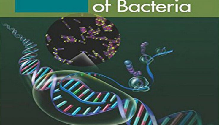 (PÐF) Molecular Genetics of Micro organism 4th Model by Larry Snyder