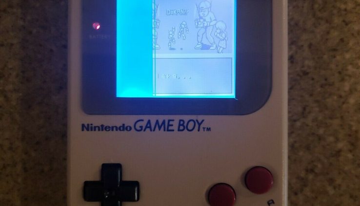 Sport Boy DMG with bivert and backlight mod segment of veil not exhibiting