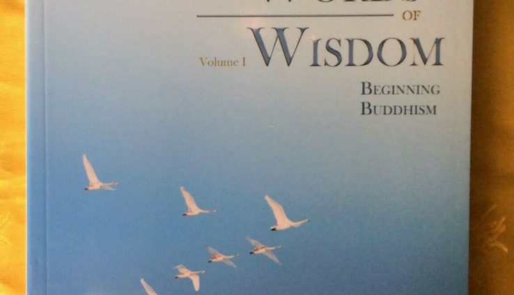 Words of Wisdom—— Starting up Buddhism Quantity 1