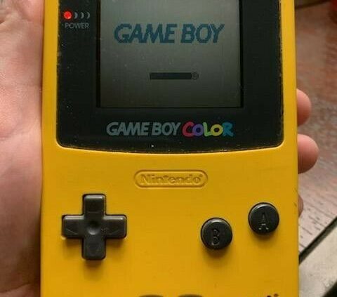 Nintendo Sport Boy Color Handheld Device – Dandelion