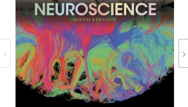 sixth Edition Neuroscience Dale Purves |P.D.F|