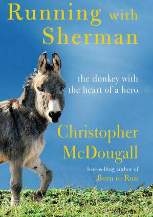 Working with Sherman: The Donkey with the Heart of a Hero | Digital To find