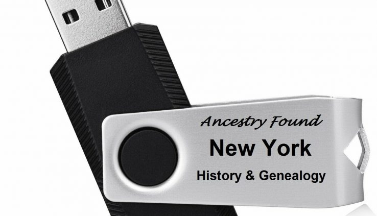 NEW YORK – History & Family tree – 163 Books on FLASH DRIVE USB – Ancestors, NY