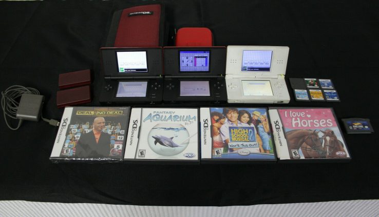 Ninteno Ds Console’s, Video games, & Equipment Bundle Lot