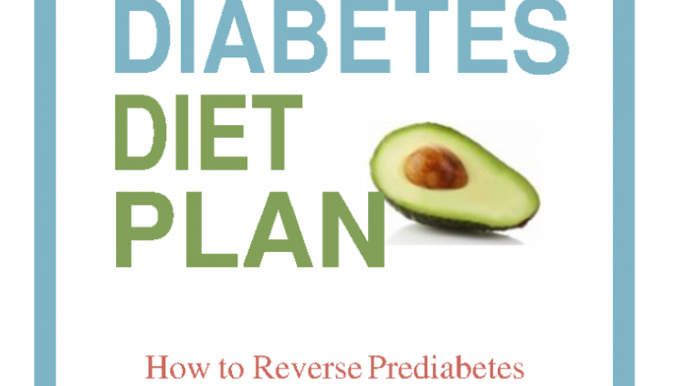 The Prediabetes Food map Thought [Digital Book]: Easy recommendations to Reverse Prediabetes and Prev…