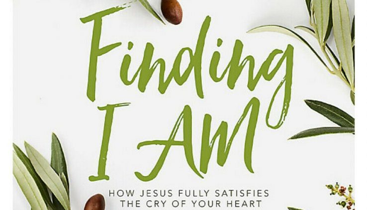 Discovering I Am Bible Study E-book NEW 