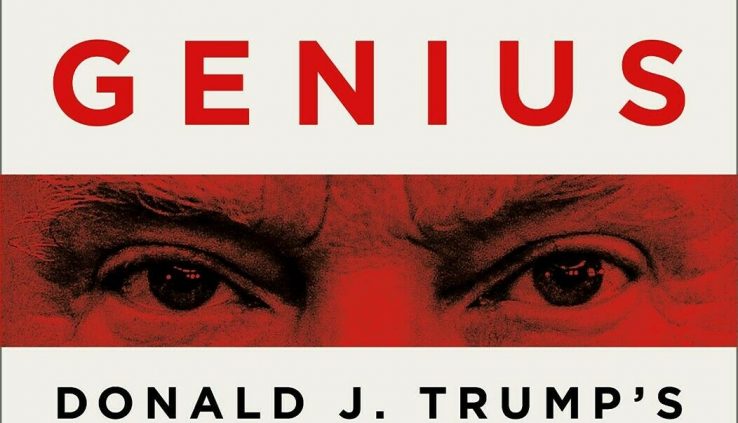 A Very Steady Genius: Donald J. Trump’s Testing of The usa – Hardcover