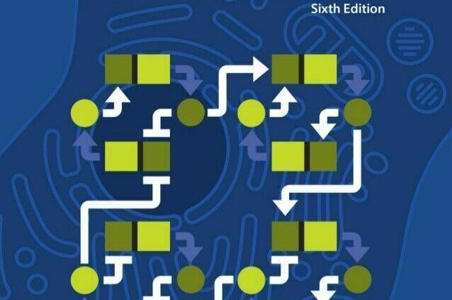 ✅Molecular Biology of The Cell sixth EDITION ALBERTS