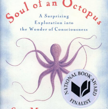 ✔ The Soul of an Octopus by Sy Sir Bernard Law ✅ FAST DELIVERY ✅