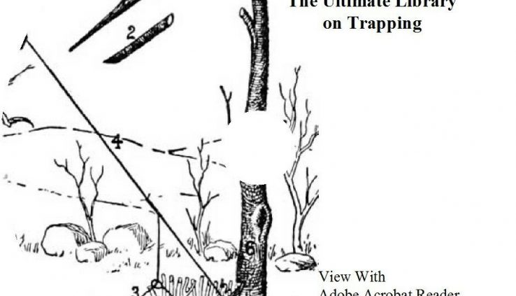 Trapping Survival CD 34 Books Traps, Deadfalls, Snares