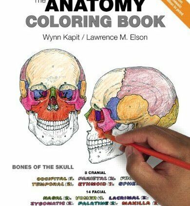 The Anatomy Coloring E book – Instant E-mail Birth