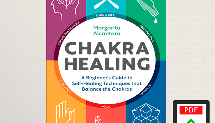 Chakra Healing A Newbie’s Recordsdata by Margarita Alcantara (E-B0K||E-MAILED)