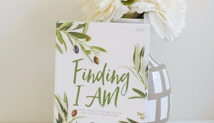 Finding I AM Bible Peek Book by Lysa Terkeurst