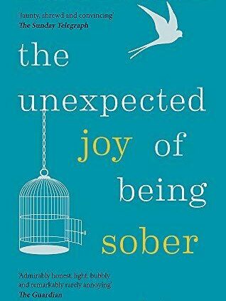 The Surprising Joy of Being Sober: Discovering a delighted, wholesome, prosperous alcoho