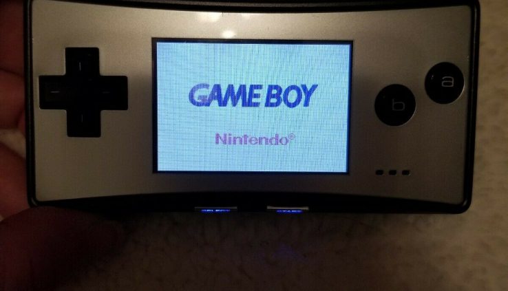 Gameboy Micro w/ Charger – very factual situation
