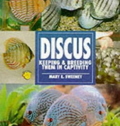 The Records to Owning Discus By Mary E. Sweeney