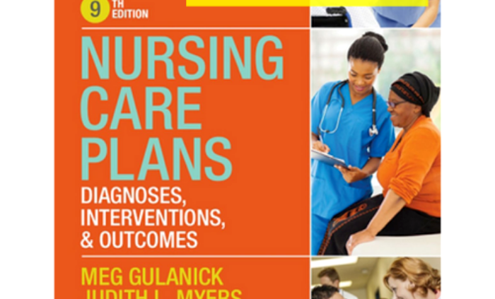 Nursing Care Plans: Diagnoses, Interventions, and Outcomes (ninth edition)