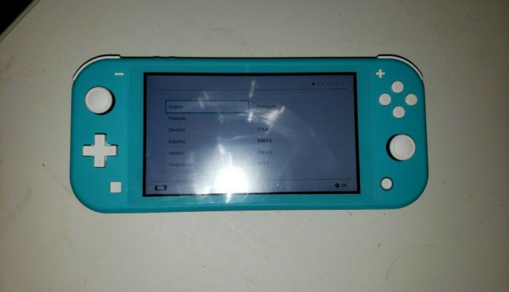 Nintendo Swap  Lite/w Charger – Turquoise