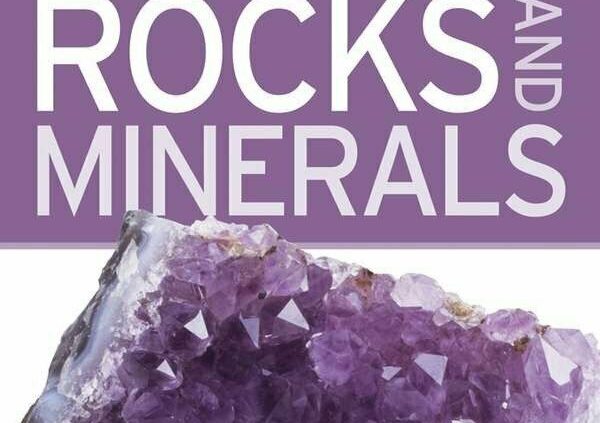 Nature Guides: Rocks and Minerals : The World in Your Hands by Dorling