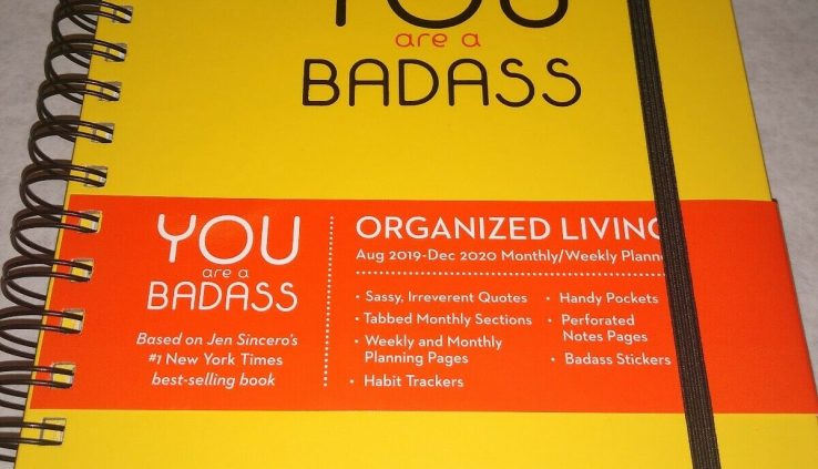 You Are A Badass 17-Month 2019-2020 Monthly/Weekly Planning Calendar