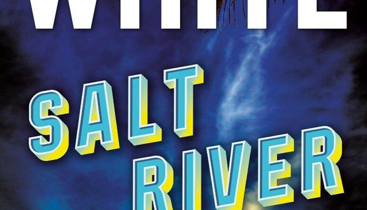 Salt River by Randy Wayne White (2020, Digital)