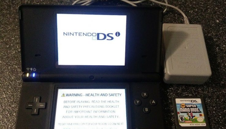 Sunless Nintendo DSi Console + Charger and Monumental Mario Bro Game