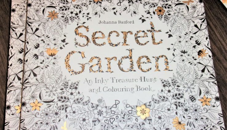 Secret Backyard : An Inky Like Hunt and Colouring E book – Designate Original