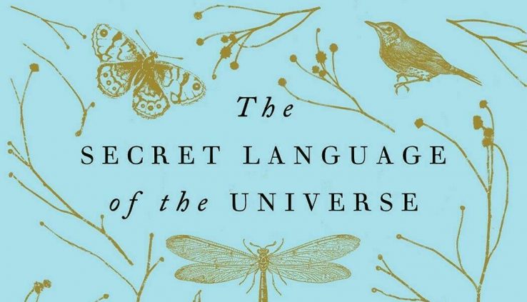 Signs: The Secret Language of the Universe by Laura Lynne Jack (2019, Hardcover)