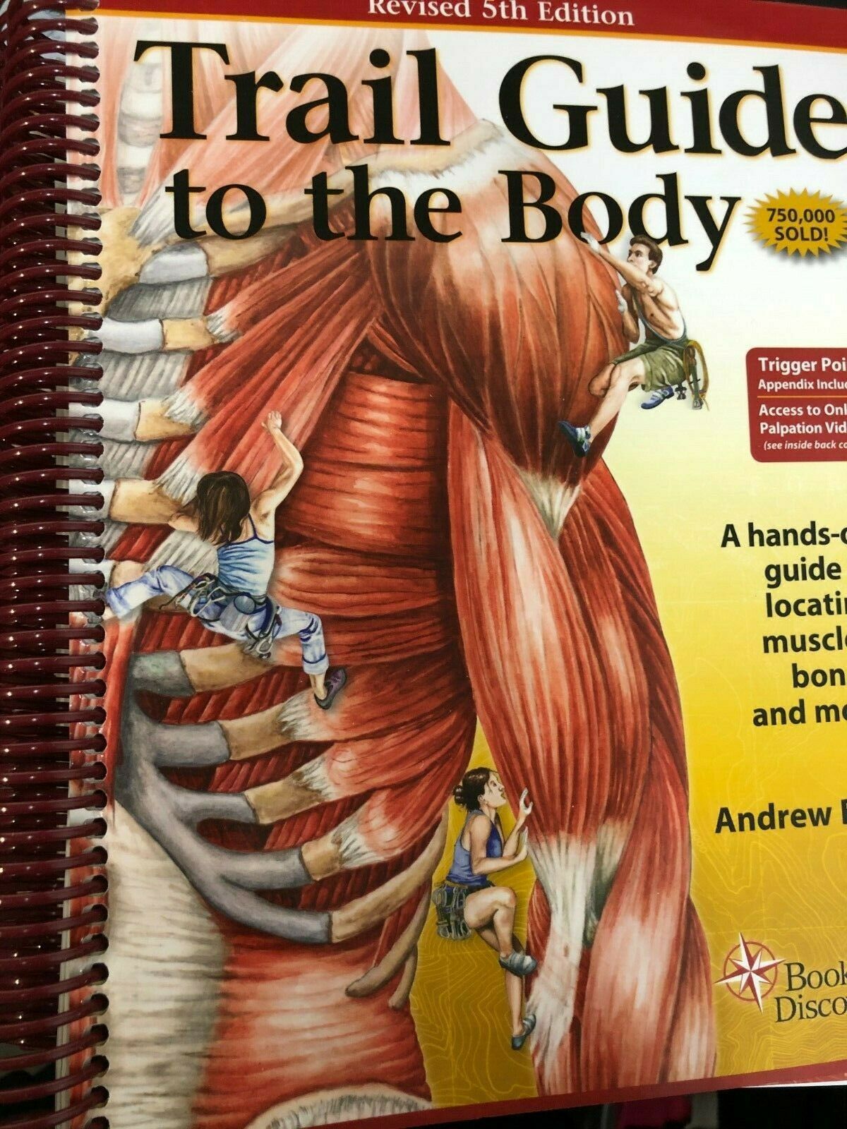 Path Manual to the Body : Andrew Biel - E book of Discovery fifth ...