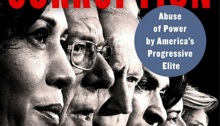 Profiles in Corruption: Abuse of Vitality by The US’s Revolutionary Elite Hardcover