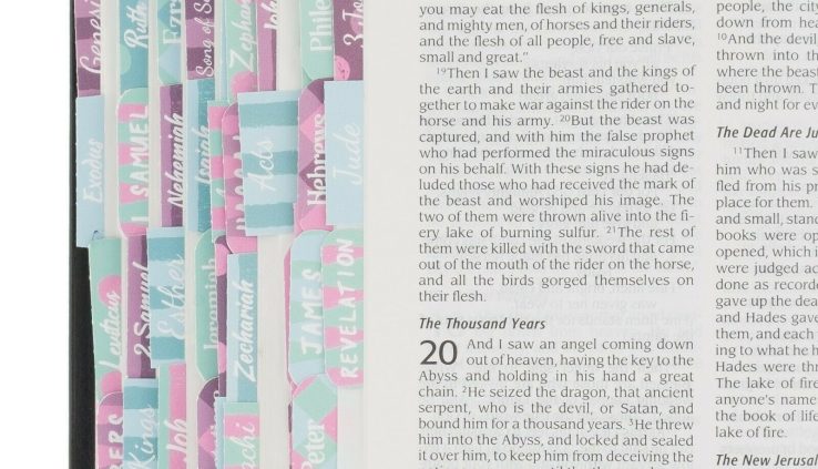Bible Indexing Tabs for Ladies Trustworthy, Brilliant Bible Peek Accessories Journaling