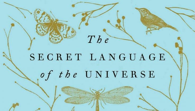 Indicators: The Secret Language of the Universe by Laura Lynne Jack (2019, Hardcover)